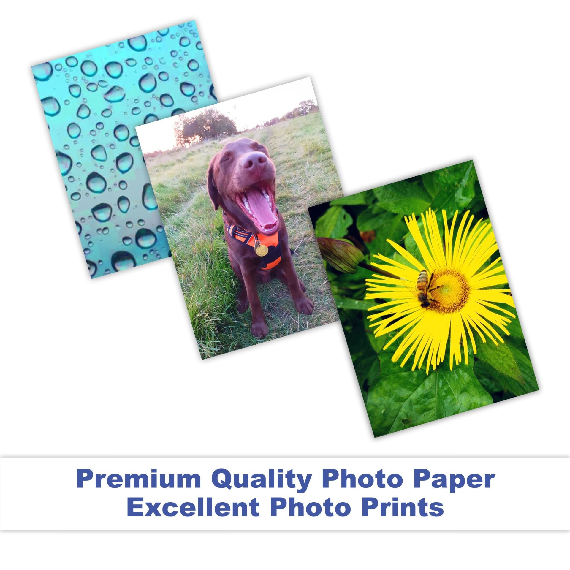 Premium Photo Paper